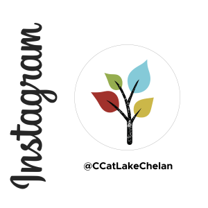 The Community Center at Lake Chelan Instagram Management