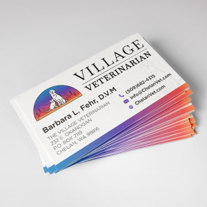 Village Veterinarian Business Card