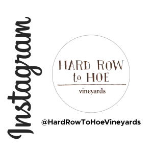 Hard Row to Hoe Vineyards Instagram Management